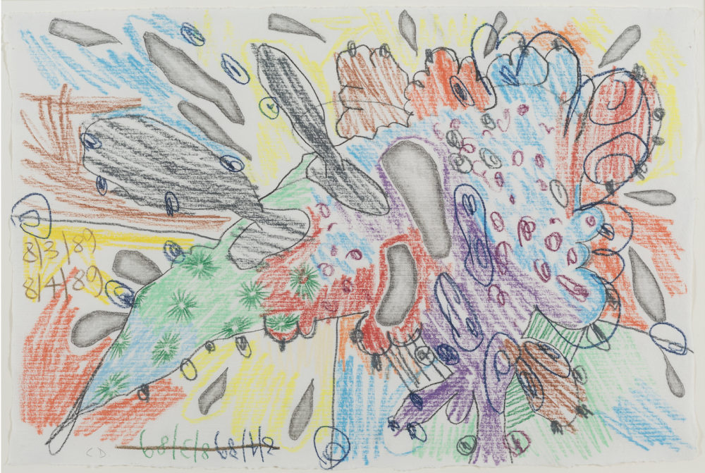 Knowledge About a Thing: Carroll Dunham’s Drawings