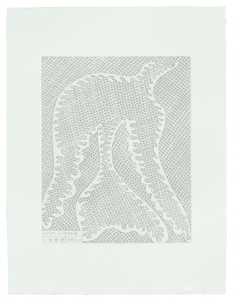 Lochs (Loch Linnhe),&amp;nbsp;2018
Suite of 10 etchings with title page and colophon in a portfolio box
15&amp;nbsp;x 11 1/4 inches
Edition of 20